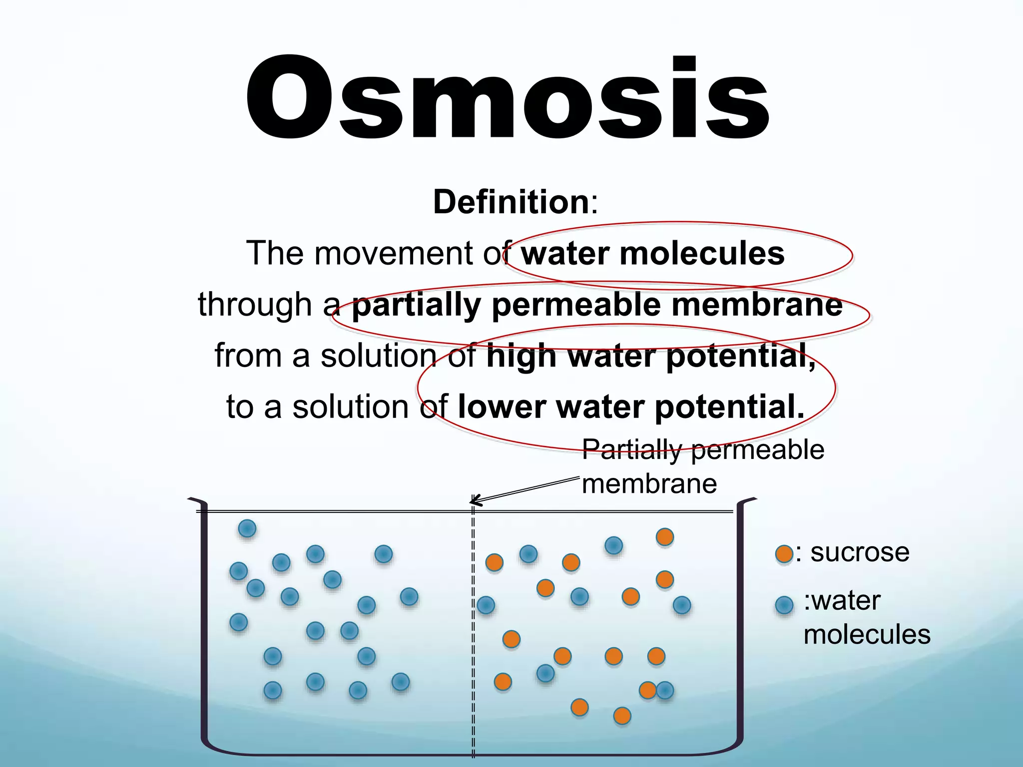 Osmosis 
Definition: 
The movement of water molecules 
through a partially permeable membrane 
from a solution of high water potential, 
to a solution of lower water potential. 
Partially permeable 
membrane 
: sucrose 
:water 
molecules 
 