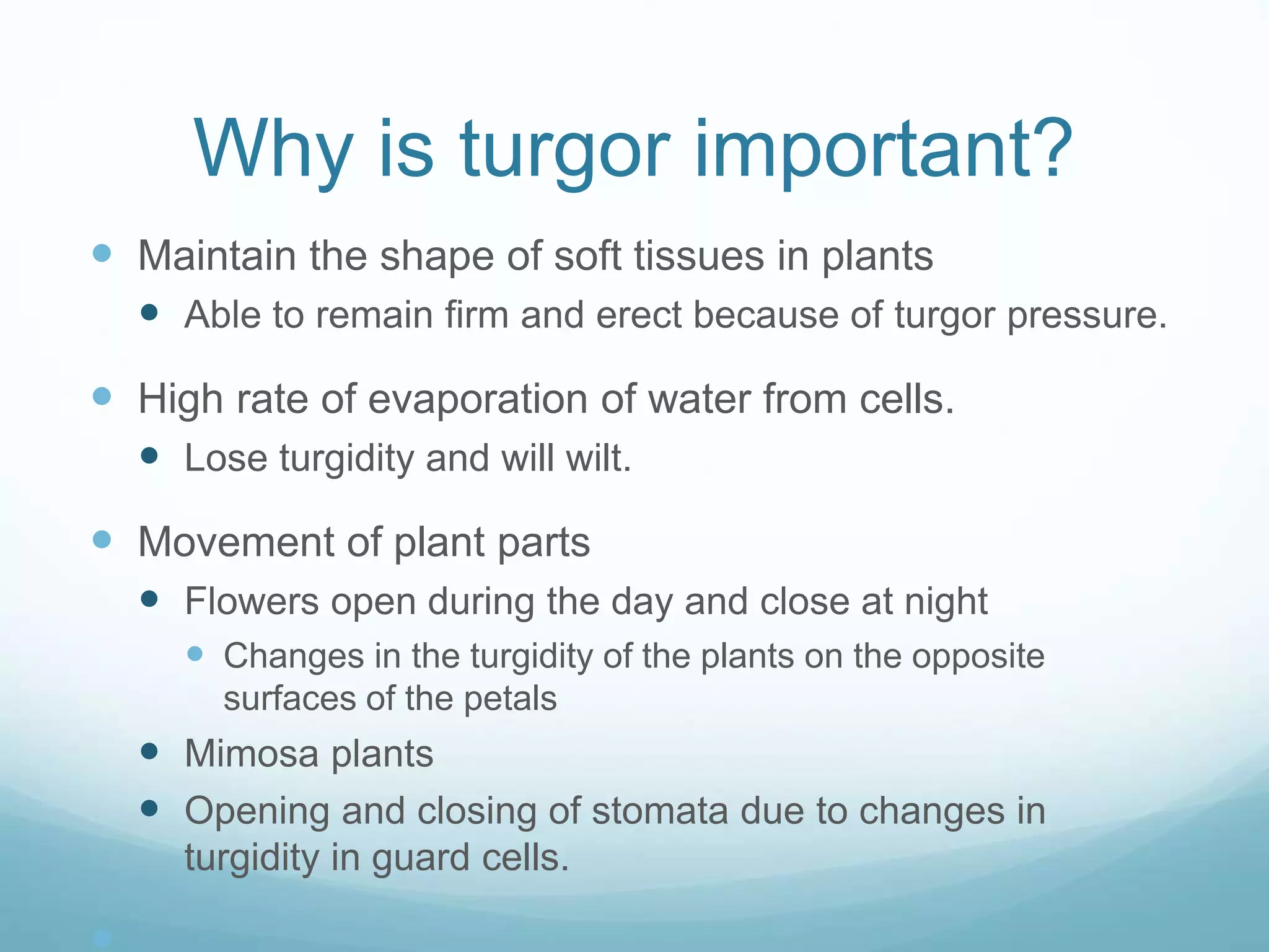 Why is turgor important? 
 Maintain the shape of soft tissues in plants 
 Able to remain firm and erect because of turgor pressure. 
 High rate of evaporation of water from cells. 
 Lose turgidity and will wilt. 
 Movement of plant parts 
 Flowers open during the day and close at night 
 Changes in the turgidity of the plants on the opposite 
surfaces of the petals 
 Mimosa plants 
 Opening and closing of stomata due to changes in 
turgidity in guard cells. 
 
 