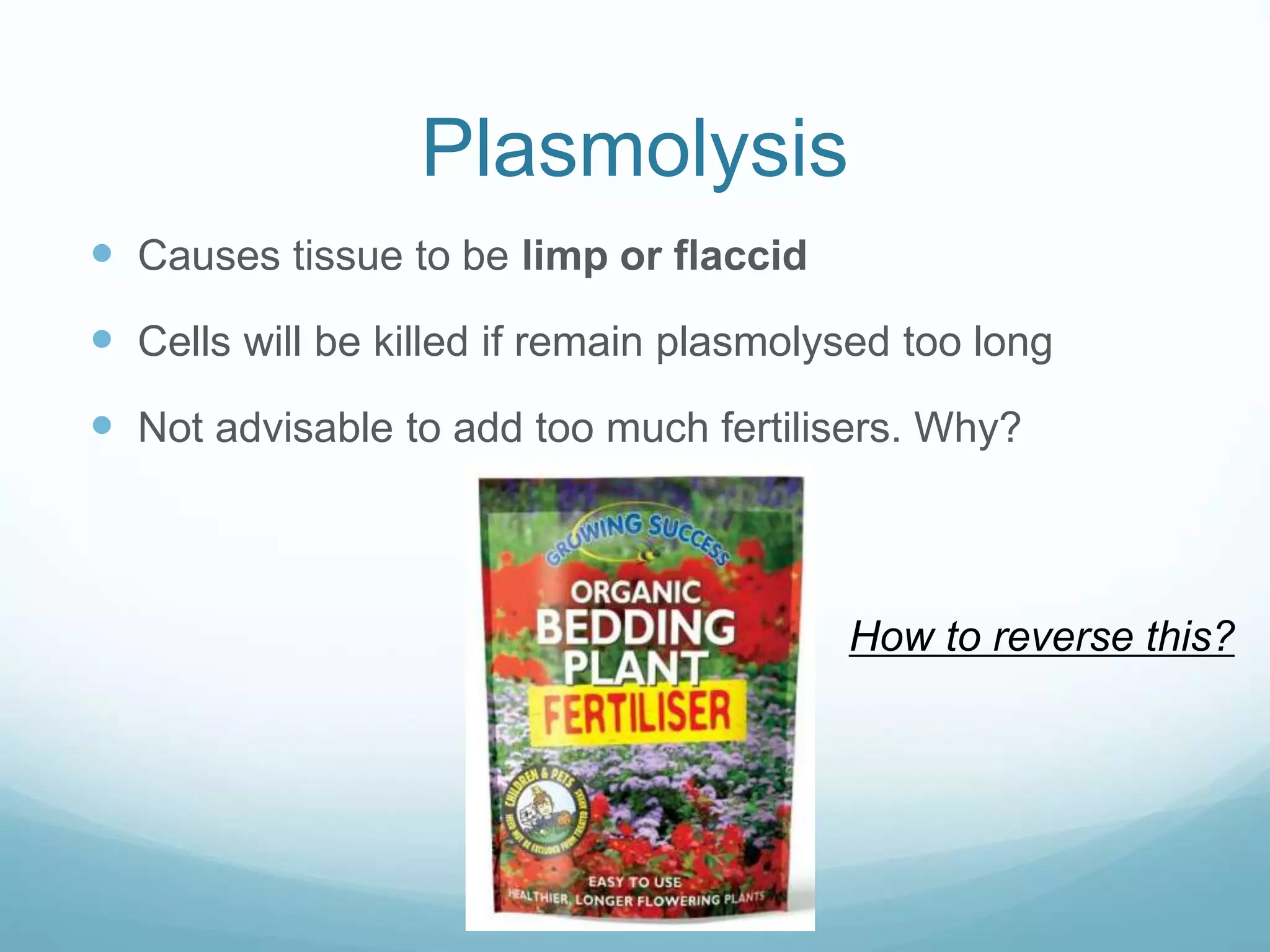 Plasmolysis 
 Causes tissue to be limp or flaccid 
 Cells will be killed if remain plasmolysed too long 
 Not advisable to add too much fertilisers. Why? 
How to reverse this? 
 