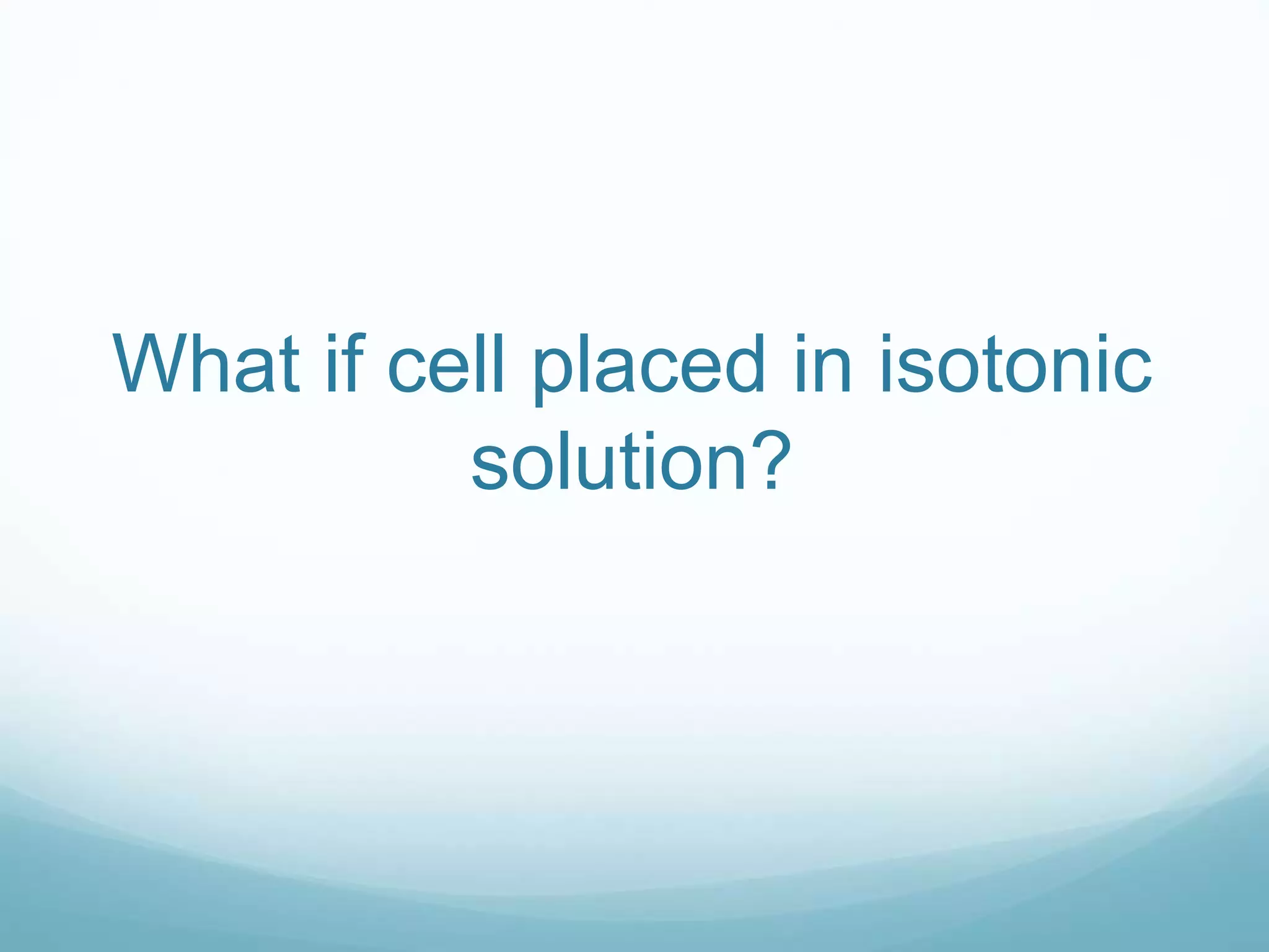 What if cell placed in isotonic 
solution? 
 