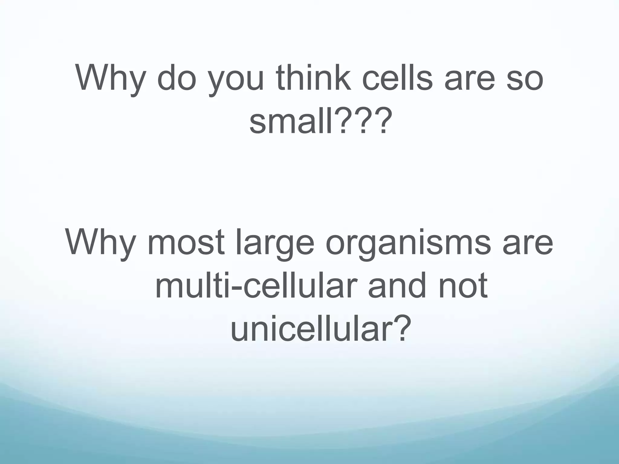 Why do you think cells are so 
small??? 
Why most large organisms are 
multi-cellular and not 
unicellular? 
 