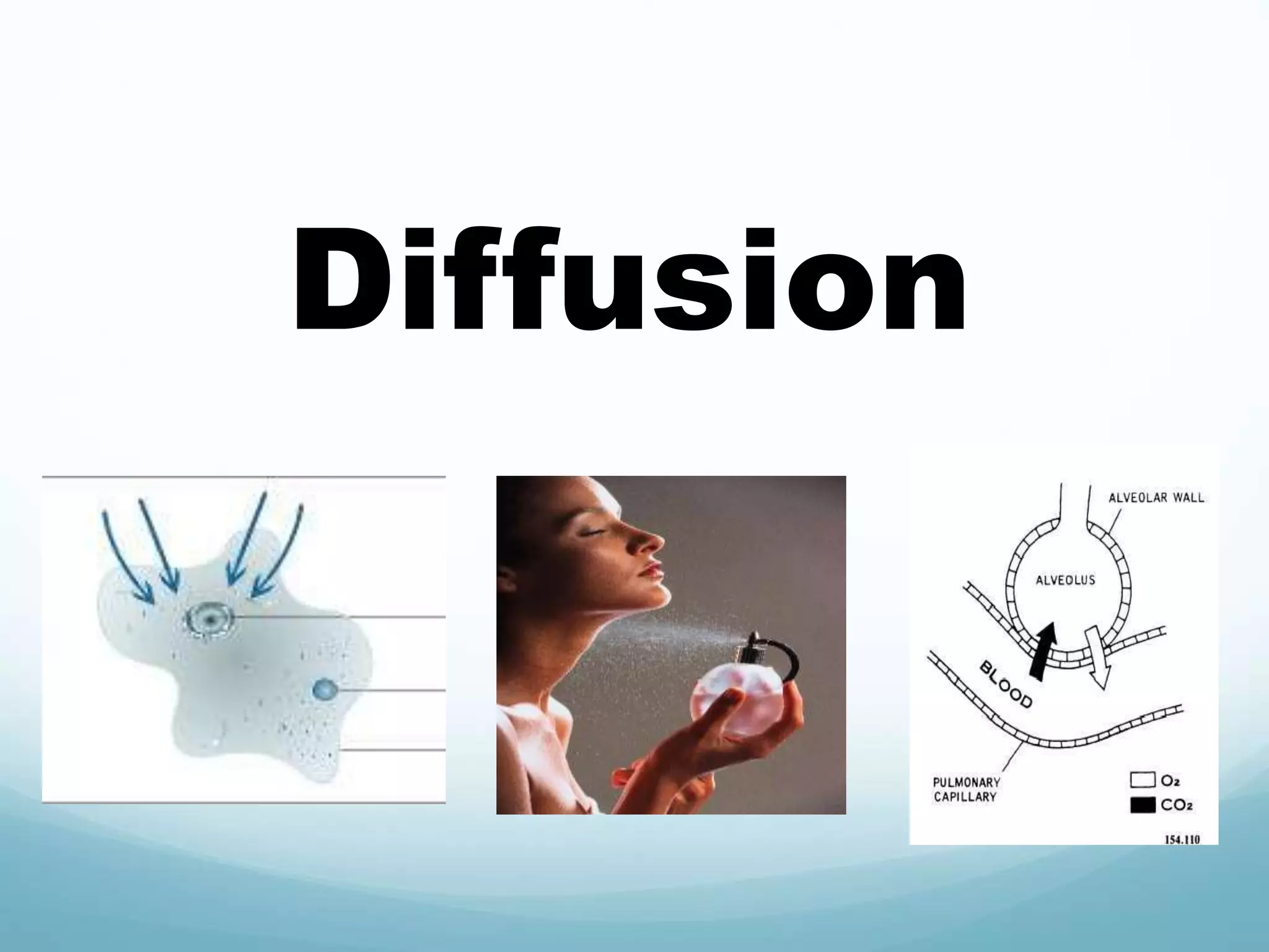 Diffusion 
 