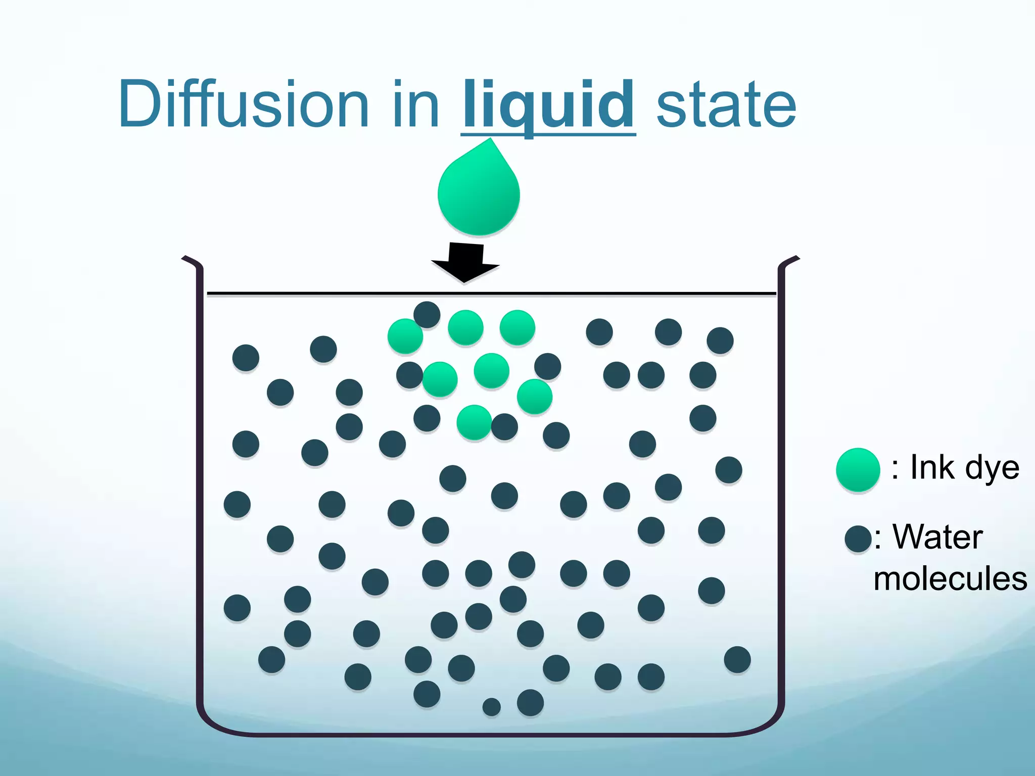 Diffusion in liquid state 
: Ink dye 
: Water 
molecules 
 