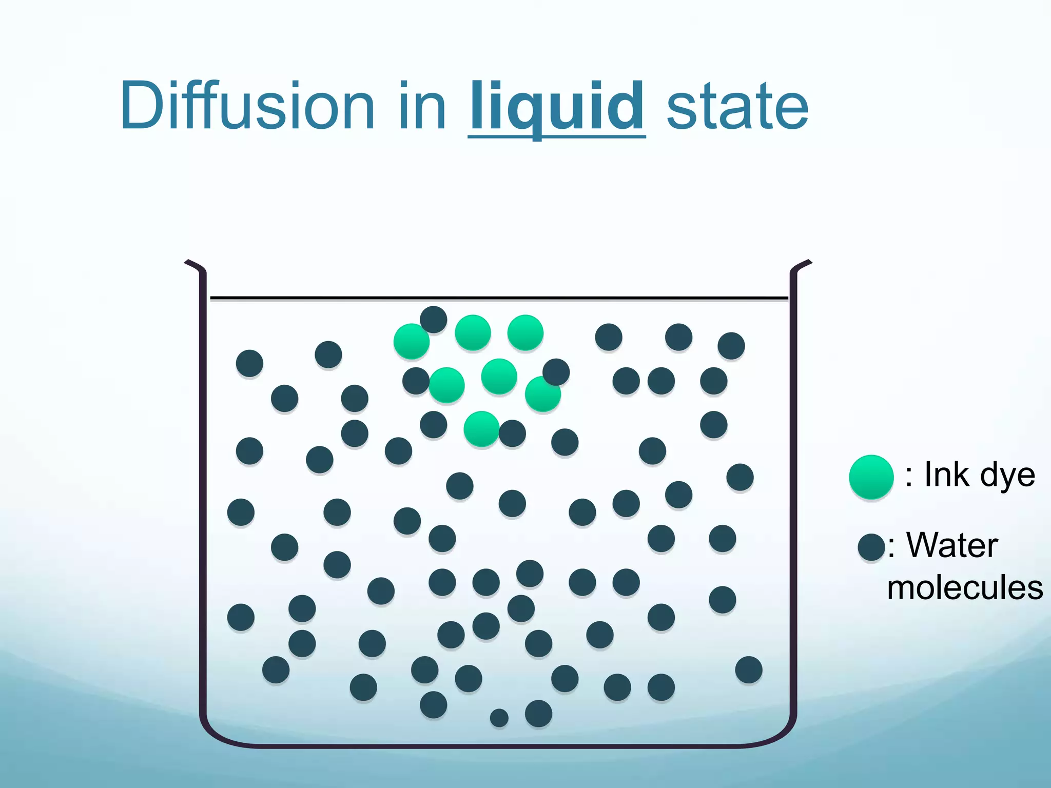 Diffusion in liquid state 
: Ink dye 
: Water 
molecules 
 