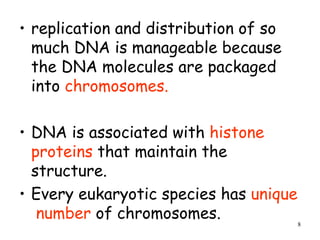 replication and distribution of so much DNA is manageable because the DNA molecules are packaged into  chromosomes. DNA is associated with  histone proteins  that maintain the structure. Every eukaryotic species has  unique  number  of chromosomes. 
