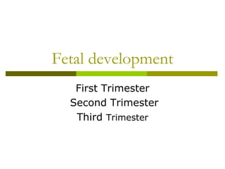Fetal development
First Trimester
Second Trimester
Third Trimester
 