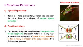 Insect Structural History of Entomology In India and Dominance of Insect | PPTX