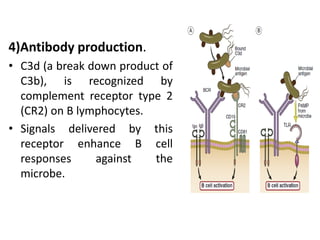 innate immune response | PDF