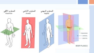 Introduction to biomechanics: lecture one | PDF
