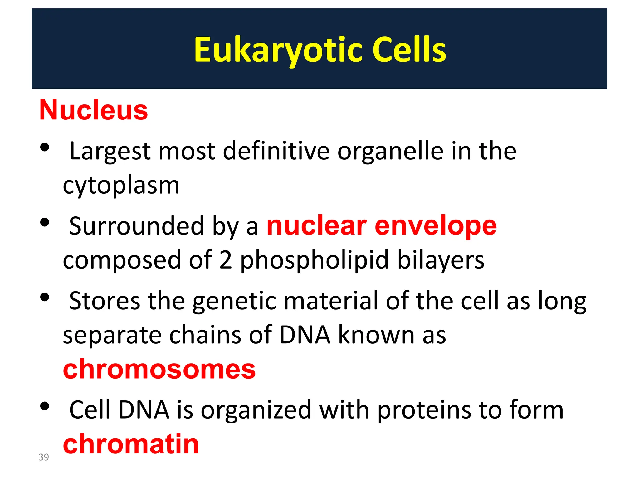 Lect2. Structure and Function of Eukaryotes and Prokaryotes Cell.pptx