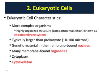 Lect2. Structure and Function of Eukaryotes and Prokaryotes Cell.pptx