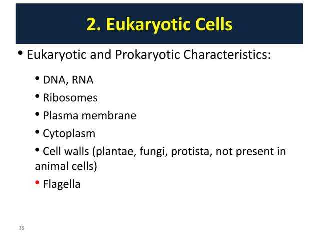 Lect2. Structure and Function of Eukaryotes and Prokaryotes Cell.pptx