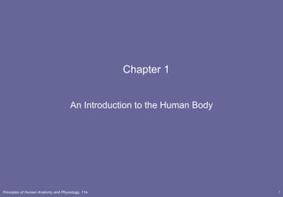 Chapter 1 An Introduction to the Human Body 