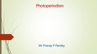 Photoperiodism
Mr. Pranay P Pandey
 