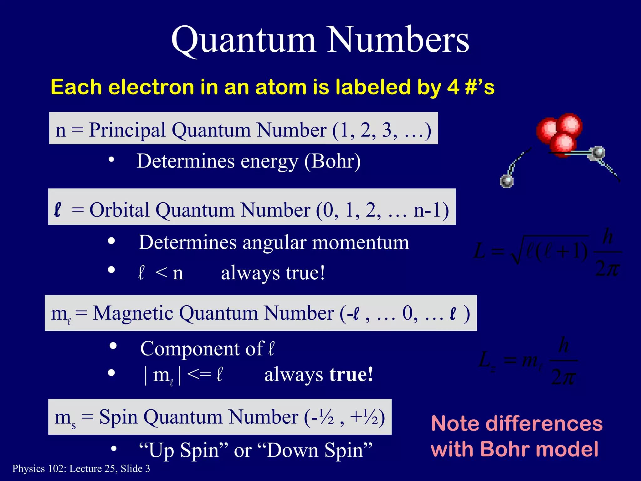Quantum Numbers Each electron in an atom is labeled by 4 #’s Note differences with Bohr model n = Principal Quantum Number (1, 2, 3, …) Determines energy (Bohr) m s  = Spin Quantum Number (-½ , +½) “ Up Spin” or “Down Spin”  l   = Orbital Quantum Number (0, 1, 2, … n-1) Determines angular momentum l  < n  always true! m l  = Magnetic Quantum Number (- l  , … 0, …  l  ) Component of  l   | m l   | <=  l   always  true! 