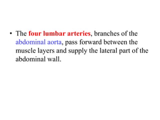 • The four lumbar arteries, branches of the
abdominal aorta, pass forward between the
muscle layers and supply the lateral part of the
abdominal wall.

 