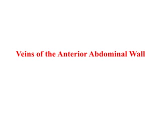 Veins of the Anterior Abdominal Wall

 