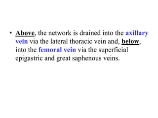 • Above, the network is drained into the axillary
vein via the lateral thoracic vein and, below,
into the femoral vein via the superficial
epigastric and great saphenous veins.

 