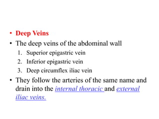 • Deep Veins
• The deep veins of the abdominal wall
1. Superior epigastric vein
2. Inferior epigastric vein
3. Deep circumflex iliac vein

• They follow the arteries of the same name and
drain into the internal thoracic and external
iliac veins.

 