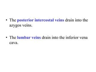 • The posterior intercostal veins drain into the
azygos veins.
• The lumbar veins drain into the inferior vena
cava.

 