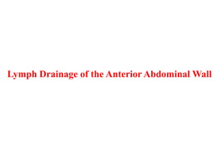 Lymph Drainage of the Anterior Abdominal Wall

 
