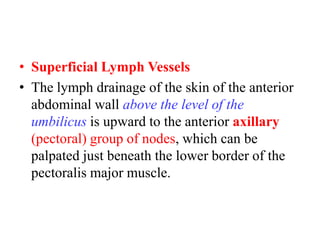 • Superficial Lymph Vessels
• The lymph drainage of the skin of the anterior
abdominal wall above the level of the
umbilicus is upward to the anterior axillary
(pectoral) group of nodes, which can be
palpated just beneath the lower border of the
pectoralis major muscle.

 