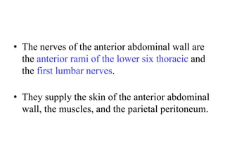 • The nerves of the anterior abdominal wall are
the anterior rami of the lower six thoracic and
the first lumbar nerves.

• They supply the skin of the anterior abdominal
wall, the muscles, and the parietal peritoneum.

 