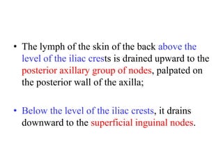 • The lymph of the skin of the back above the
level of the iliac crests is drained upward to the
posterior axillary group of nodes, palpated on
the posterior wall of the axilla;
• Below the level of the iliac crests, it drains
downward to the superficial inguinal nodes.

 