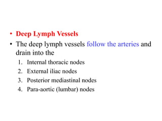 • Deep Lymph Vessels
• The deep lymph vessels follow the arteries and
drain into the
1.
2.
3.
4.

Internal thoracic nodes
External iliac nodes
Posterior mediastinal nodes
Para-aortic (lumbar) nodes

 