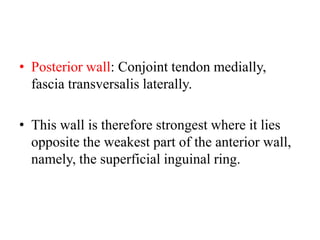 • Posterior wall: Conjoint tendon medially,
fascia transversalis laterally.
• This wall is therefore strongest where it lies
opposite the weakest part of the anterior wall,
namely, the superficial inguinal ring.

 