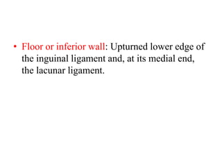 • Floor or inferior wall: Upturned lower edge of
the inguinal ligament and, at its medial end,
the lacunar ligament.

 