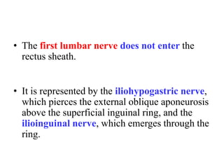 • The first lumbar nerve does not enter the
rectus sheath.
• It is represented by the iliohypogastric nerve,
which pierces the external oblique aponeurosis
above the superficial inguinal ring, and the
ilioinguinal nerve, which emerges through the
ring.

 
