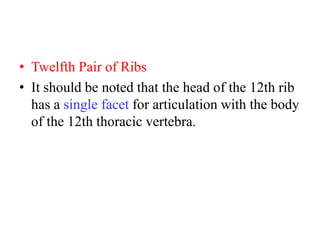 • Twelfth Pair of Ribs
• It should be noted that the head of the 12th rib
has a single facet for articulation with the body
of the 12th thoracic vertebra.

 
