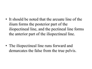 • It should be noted that the arcuate line of the
ilium forms the posterior part of the
iliopectineal line, and the pectineal line forms
the anterior part of the iliopectineal line.
• The iliopectineal line runs forward and
demarcates the false from the true pelvis.

 