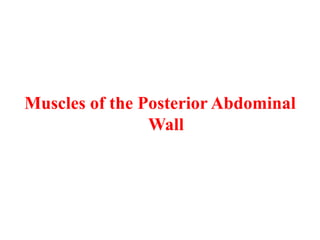 Muscles of the Posterior Abdominal
Wall

 