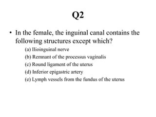 Q2
• In the female, the inguinal canal contains the
following structures except which?
(a) Ilioinguinal nerve
(b) Remnant of the processus vaginalis
(c) Round ligament of the uterus
(d) Inferior epigastric artery
(e) Lymph vessels from the fundus of the uterus

 