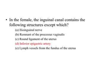 • In the female, the inguinal canal contains the
following structures except which?
(a) Ilioinguinal nerve
(b) Remnant of the processus vaginalis
(c) Round ligament of the uterus
(d) Inferior epigastric artery
(e) Lymph vessels from the fundus of the uterus

 