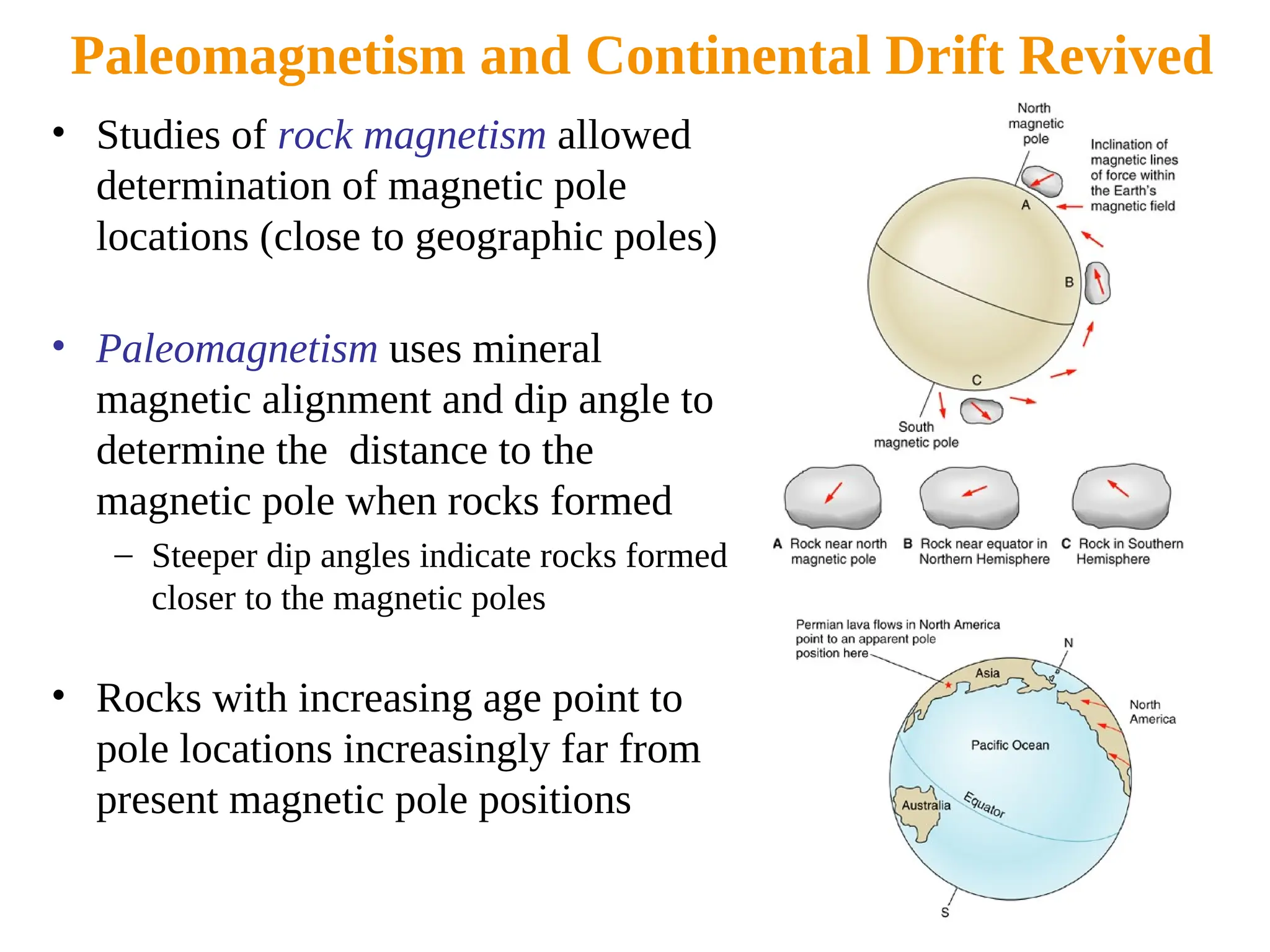 Paleomagnetism and Continental Drift Revived
• Studies of rock magnetism allowed
determination of magnetic pole
locations (close to geographic poles)
• Paleomagnetism uses mineral
magnetic alignment and dip angle to
determine the distance to the
magnetic pole when rocks formed
– Steeper dip angles indicate rocks formed
closer to the magnetic poles
• Rocks with increasing age point to
pole locations increasingly far from
present magnetic pole positions
 