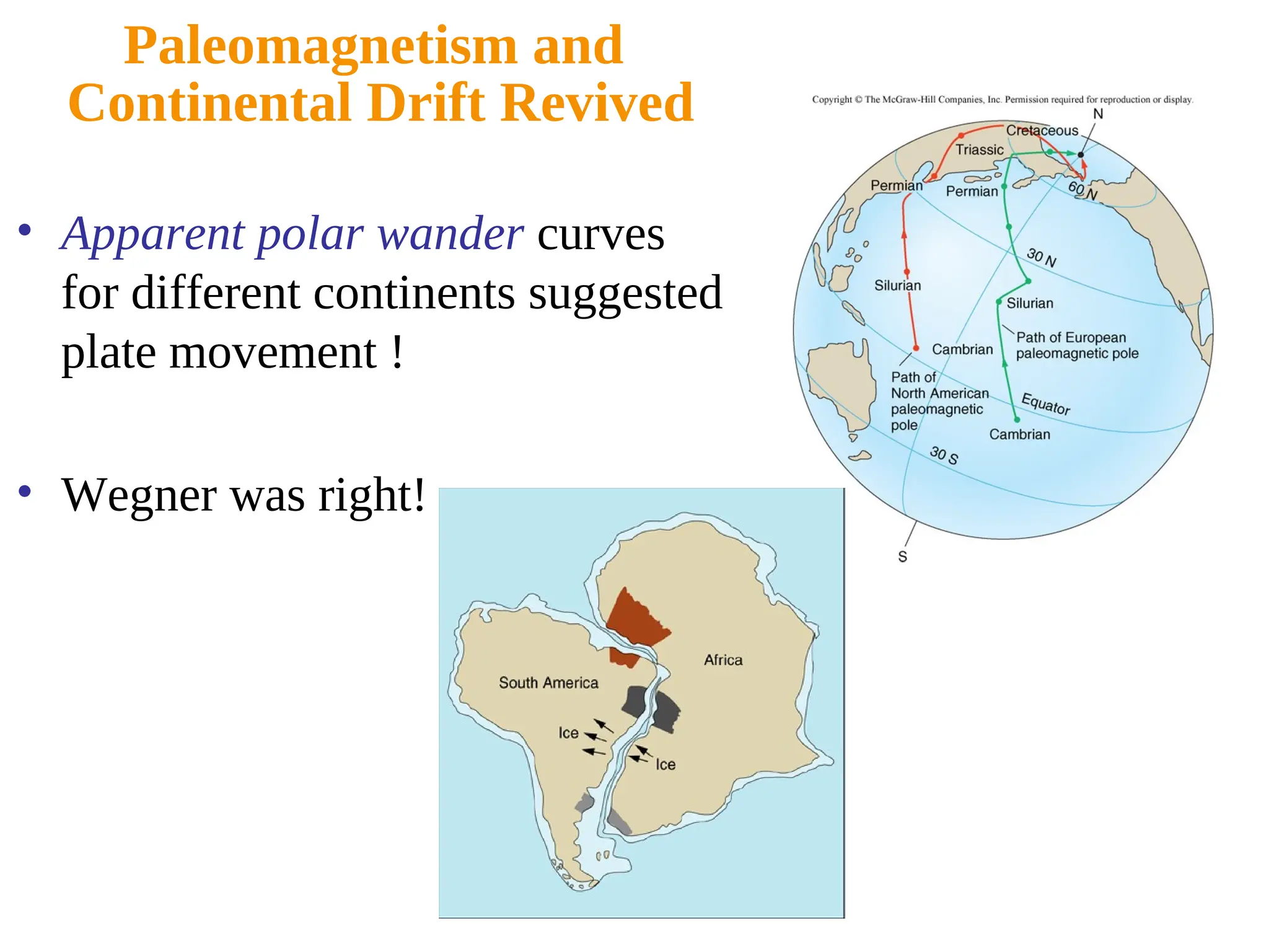 Paleomagnetism and
Continental Drift Revived
• Apparent polar wander curves
for different continents suggested
plate movement !
• Wegner was right!
 