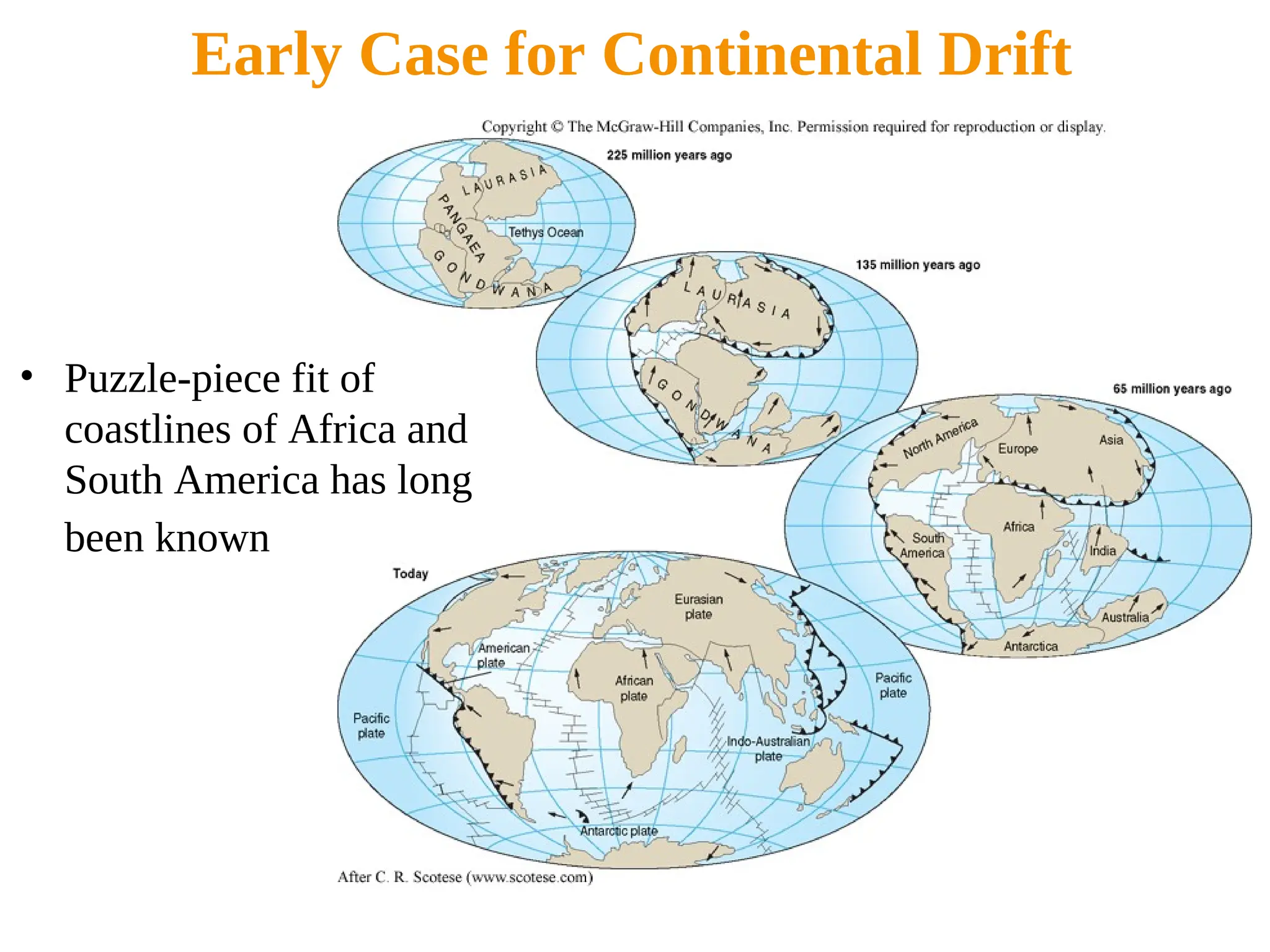 Early Case for Continental Drift
• Puzzle-piece fit of
coastlines of Africa and
South America has long
been known
 