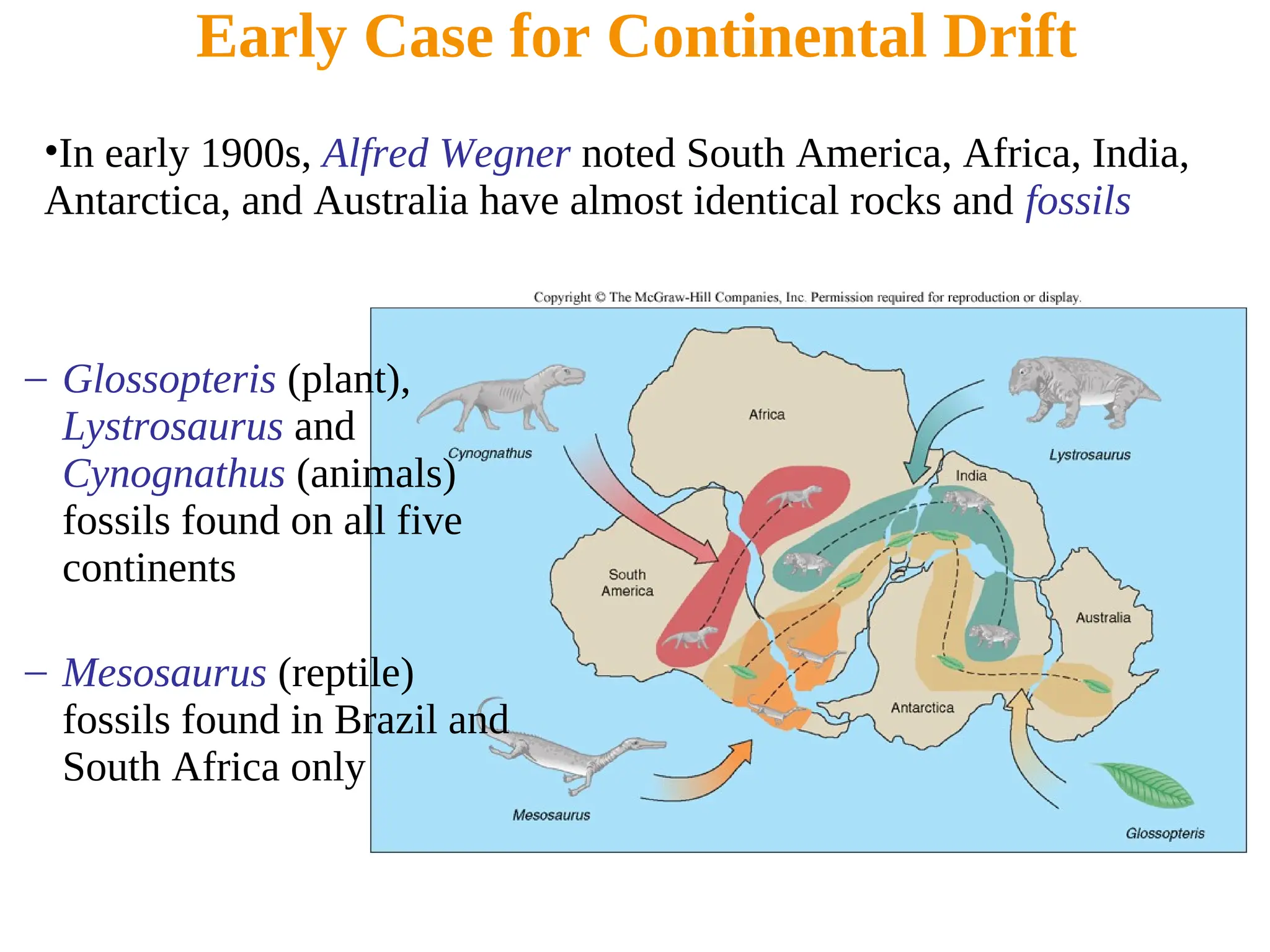 •In early 1900s, Alfred Wegner noted South America, Africa, India,
Antarctica, and Australia have almost identical rocks and fossils
Early Case for Continental Drift
– Glossopteris (plant),
Lystrosaurus and
Cynognathus (animals)
fossils found on all five
continents
– Mesosaurus (reptile)
fossils found in Brazil and
South Africa only
 