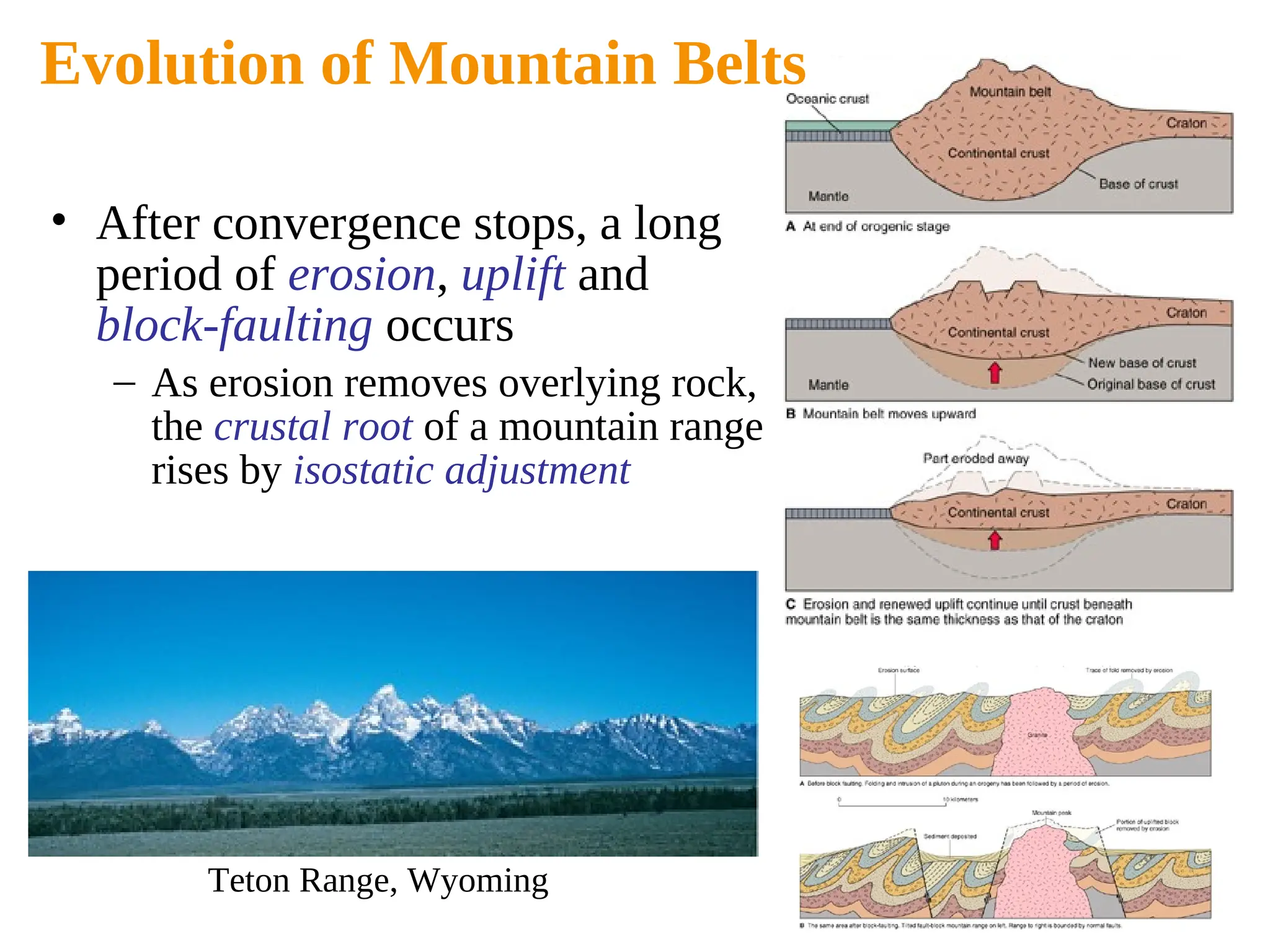 • After convergence stops, a long
period of erosion, uplift and
block-faulting occurs
– As erosion removes overlying rock,
the crustal root of a mountain range
rises by isostatic adjustment
Evolution of Mountain Belts
Teton Range, Wyoming
 