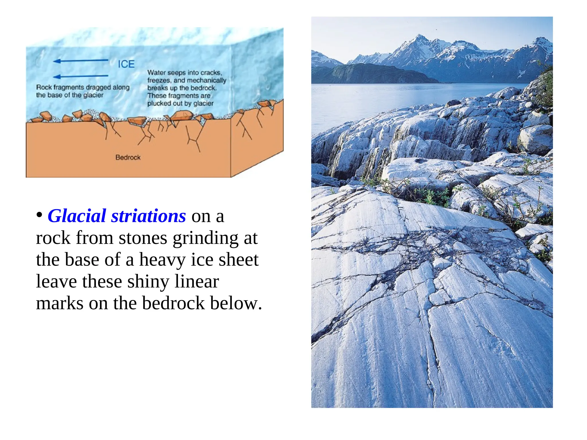 • Glacial striations on a
rock from stones grinding at
the base of a heavy ice sheet
leave these shiny linear
marks on the bedrock below.
 