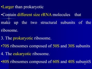 Prokaryotic cell (structure and function) | PDF
