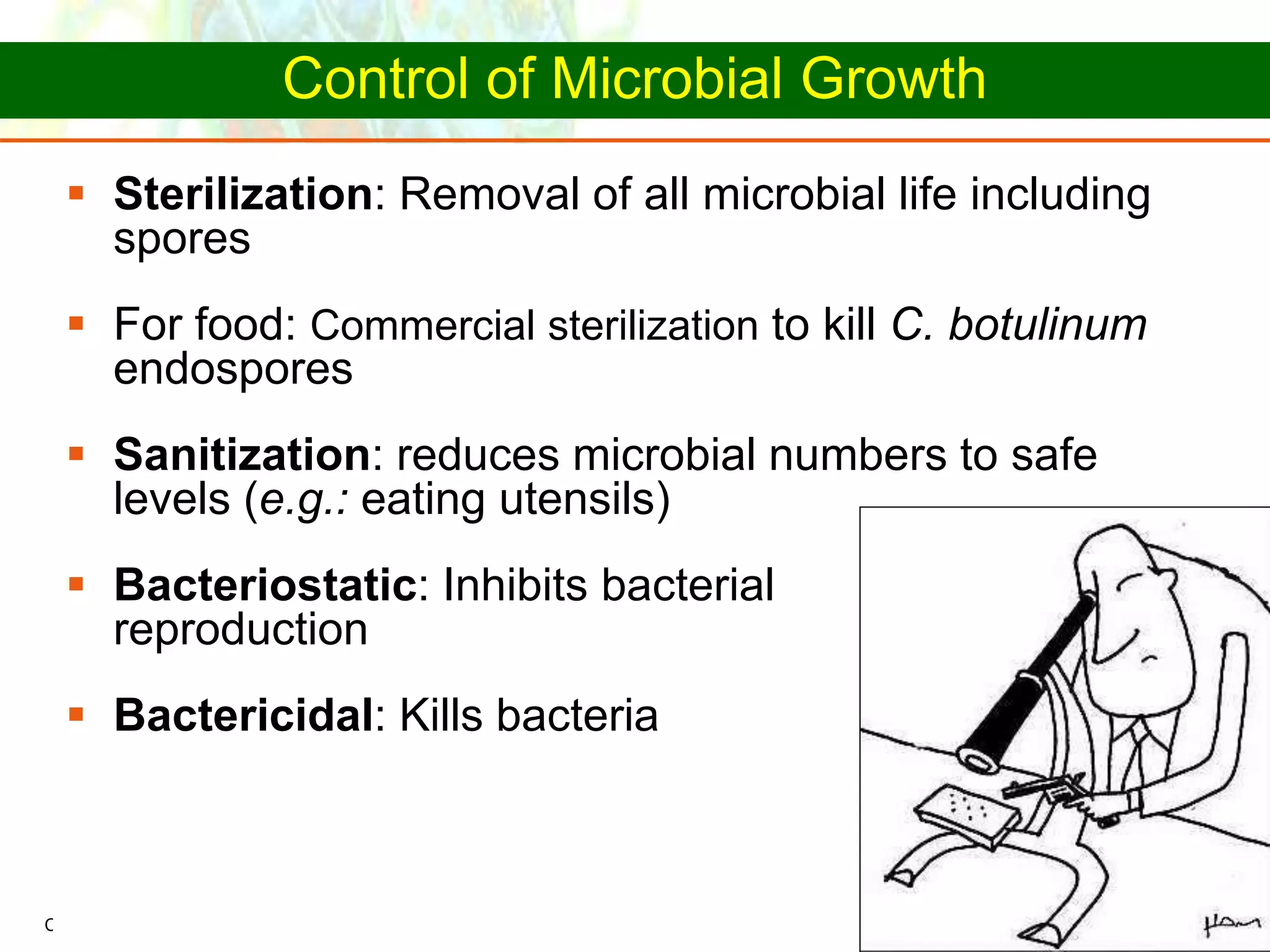 Copyright © 2006 Pearson Education, Inc., publishing as Benjamin Cummings
Control of Microbial Growth
 Sterilization: Removal of all microbial life including
spores
 For food: Commercial sterilization to kill C. botulinum
endospores
 Sanitization: reduces microbial numbers to safe
levels (e.g.: eating utensils)
 Bacteriostatic: Inhibits bacterial
reproduction
 Bactericidal: Kills bacteria
 