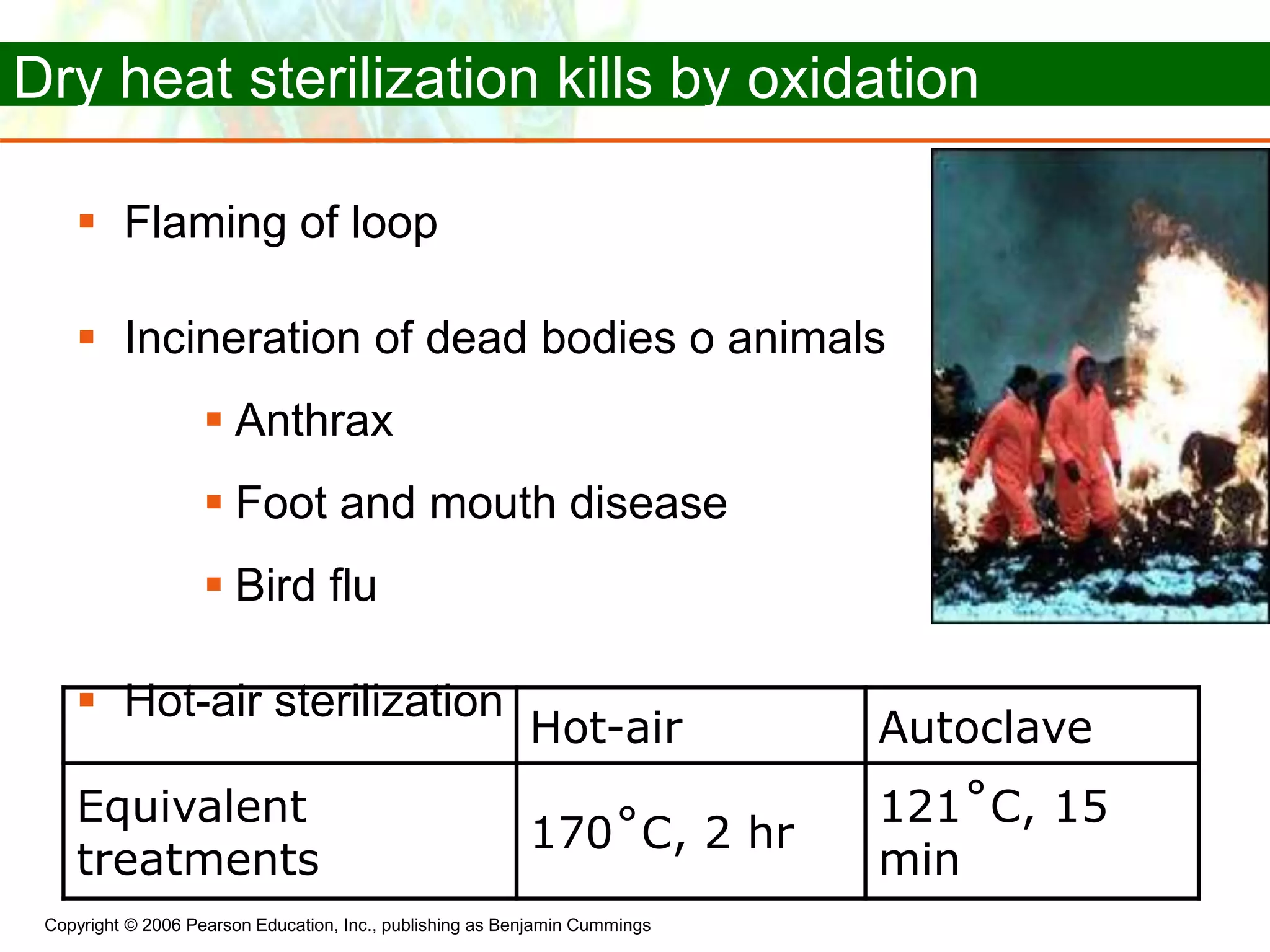 Copyright © 2006 Pearson Education, Inc., publishing as Benjamin Cummings
Hot-air Autoclave
Equivalent
treatments
170˚C, 2 hr
121˚C, 15
min
Dry heat sterilization kills by oxidation
 Flaming of loop
 Incineration of dead bodies o animals
 Anthrax
 Foot and mouth disease
 Bird flu
 Hot-air sterilization
 