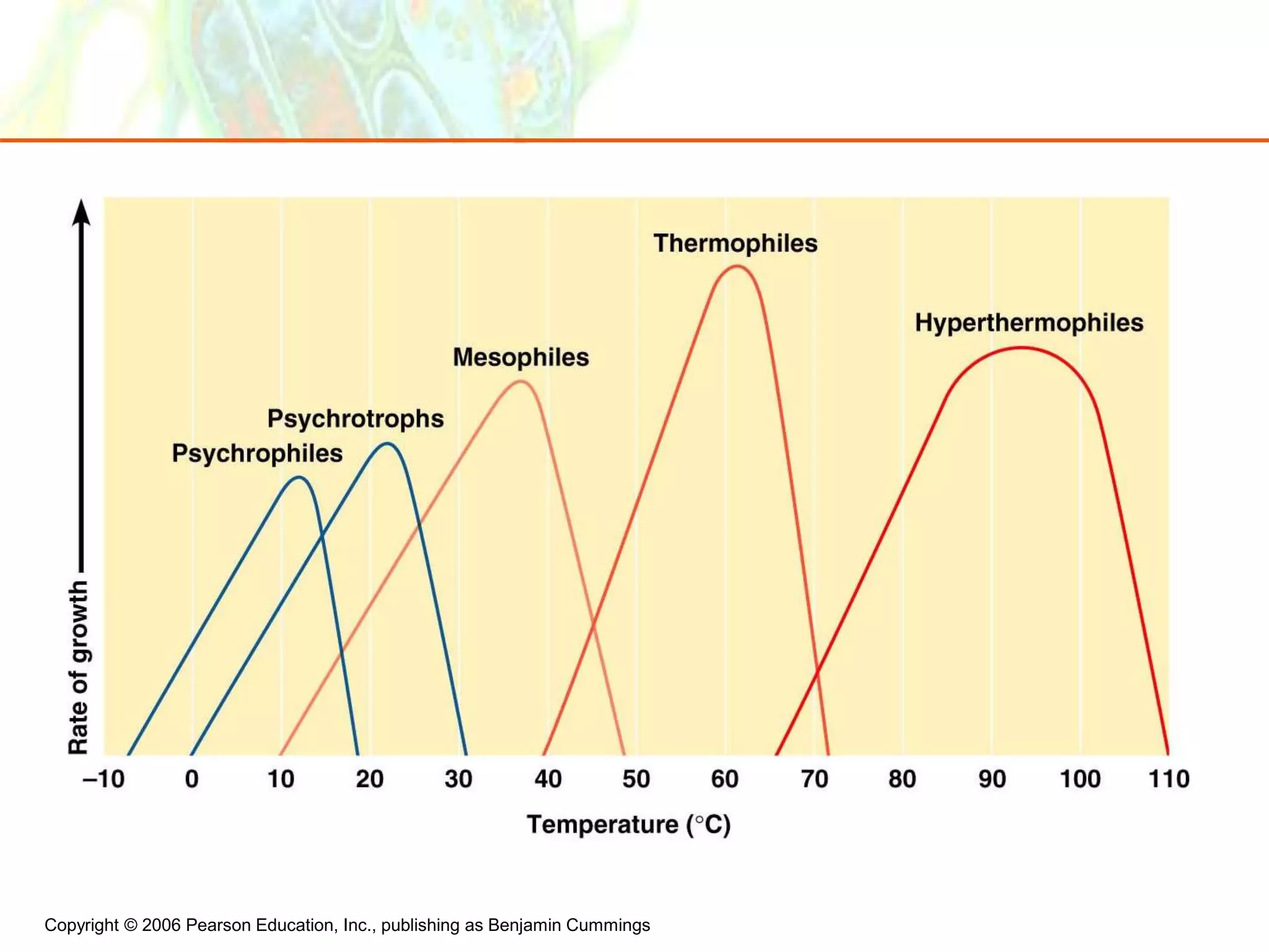 Copyright © 2006 Pearson Education, Inc., publishing as Benjamin Cummings
 