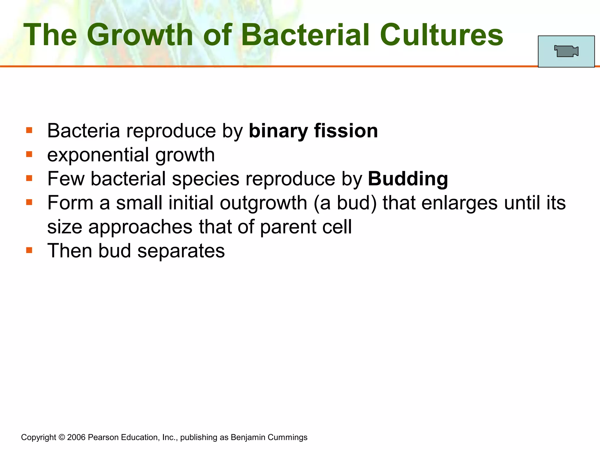 Copyright © 2006 Pearson Education, Inc., publishing as Benjamin Cummings
The Growth of Bacterial Cultures
 Bacteria reproduce by binary fission
 exponential growth
 Few bacterial species reproduce by Budding
 Form a small initial outgrowth (a bud) that enlarges until its
size approaches that of parent cell
 Then bud separates
 