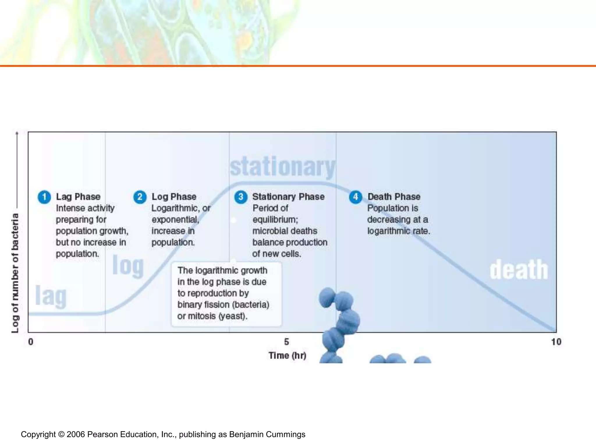 Copyright © 2006 Pearson Education, Inc., publishing as Benjamin Cummings
 