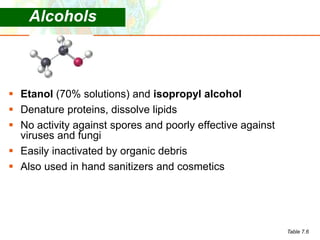 Lect 2 Microbial Growth.ppt